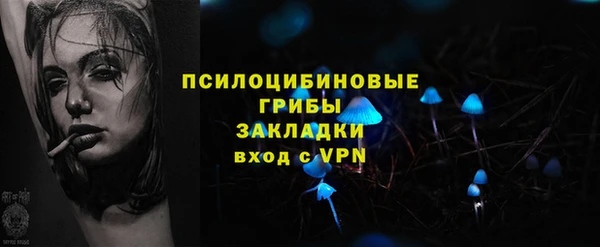 винт Гусь-Хрустальный
