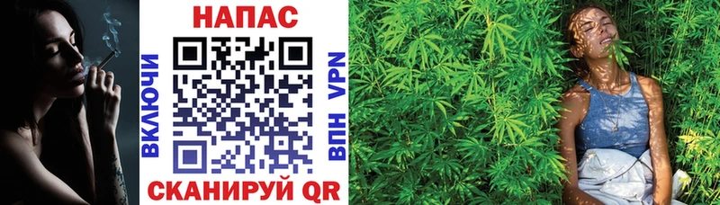закладка  Судогда  Каннабис White Widow 